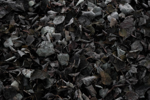 从零到一:F1电竞数据分析师的养成之路