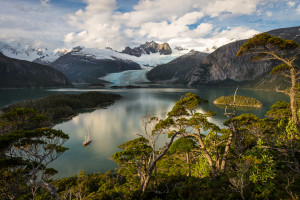 当AI遇上电竞,智慧的火花,点燃胜利的渴望!