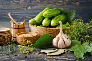 绝地求生全明星赛,娱乐与竞技并存,看明星选手如何玩转战场 绝地求生全明星赛,娱乐与竞技并存,看明星选手如何玩转战场